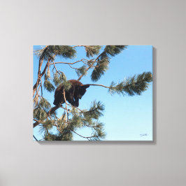 Slapende Beer Canvas Afdruk