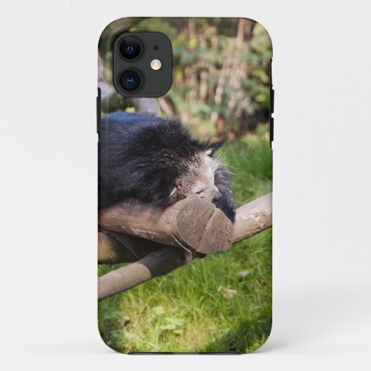 Slapende Binturong Case-Mate iPhone Case (Achterkant)