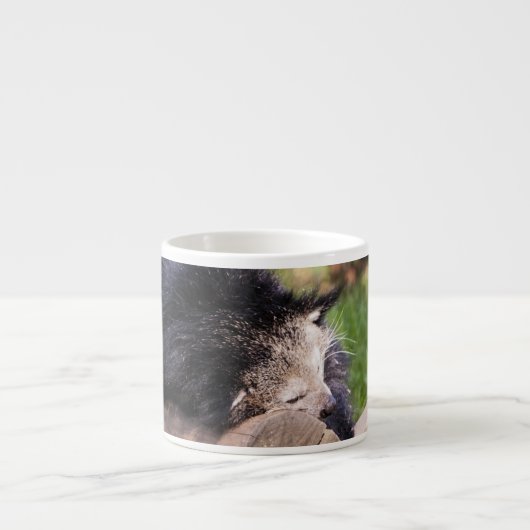 Slapende Binturong Espresso Kop (Voorkant)