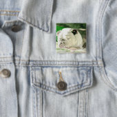 Slapende Bulldog Button (In situ)