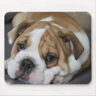 Slapende Bulldog Muismat