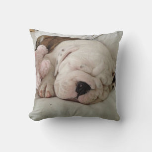 Slapende bulldog puppy gooien kussen