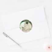 Slapende Bulldog Stickers (Envelop)