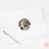 Slapende Bulldog Stickers (Envelop)