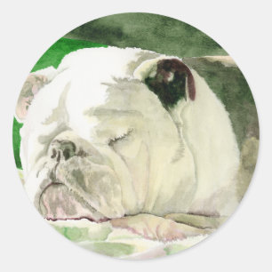 Slapende bulledog stickers