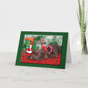 Slapende chocolade labrador met pepermuntstokhoed feestdagen kaart