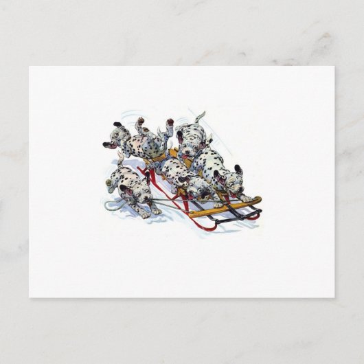 Slapende Dalmatische jongen Briefkaart (Voorkant)