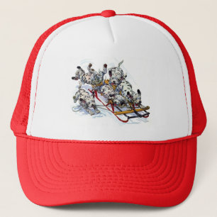 Slapende Dalmatische jongen Trucker Pet