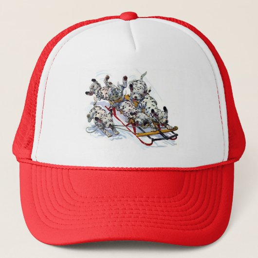 Slapende Dalmatische jongen Trucker Pet (Voorkant)