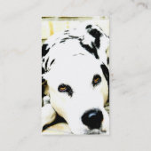 Slapende Dalmatische Visitekaartjes (Achterkant)