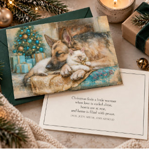 Slapende Duitse Herdershond Witte Kittens Kerstmis Feestdagenkaart