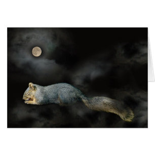 Slapende Eekhoorn Kaart