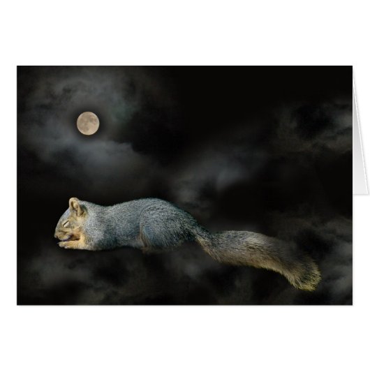 Slapende Eekhoorn Kaart (Voorkant Horizontaal)