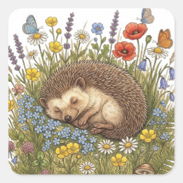Slapende Egel in Wilde Bloemenweide Esthetiek Vierkante Sticker