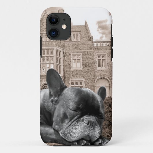 Slapende Franse Bulldoggen Case-Mate iPhone Case (Achterkant)