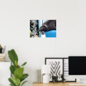 Slapende Galapagos Zeeleeuw Poster (Thuiskantoor)