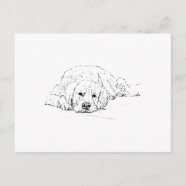 Slapende Golden Retriever, Hondengekken, Tekening Briefkaart