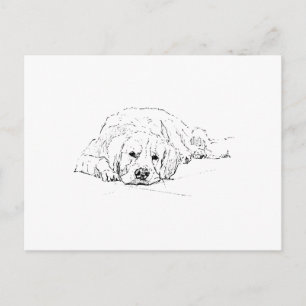 Slapende Golden Retriever, Hondengekken, Tekening Briefkaart