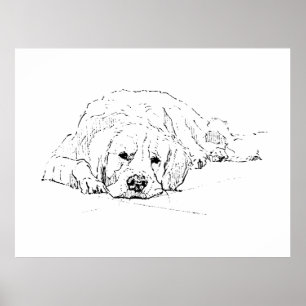 Slapende Golden Retriever, Kunstprint voor aan de  Poster