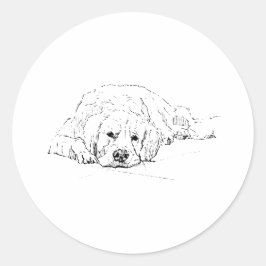 Slapende Goudkleurige Retriever, Tekening van een  Ronde Sticker
