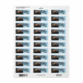 SLAPENDE GRIZZLYBEER Retouradreslabels Etiket (Full Sheet)