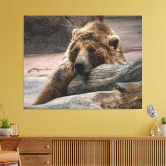 Slapende Grizzlybeer uitgerekte Canvasprint Canvas Afdruk