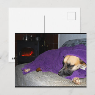 Slapende hond bij de open haard briefkaart