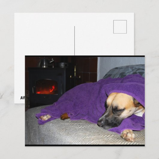 Slapende hond bij de open haard briefkaart (Voorkant / Achterkant)