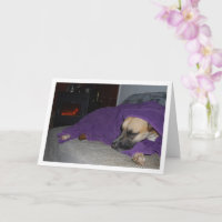 Slapende hond bij de open haard