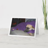 Slapende hond bij de open haard kaart (Voorkant)