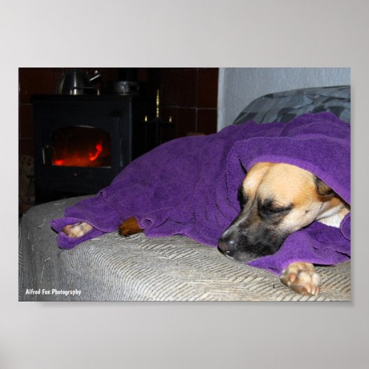 Slapende hond bij de open haard poster (Voorkant)