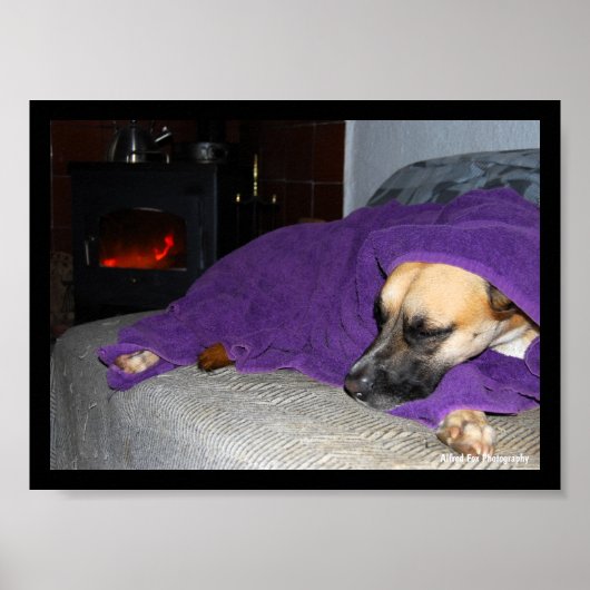 Slapende hond bij de open haard poster (Voorkant)