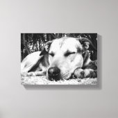 Slapende hond canvas afdruk (Voorkant)