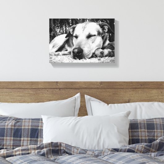 Slapende hond canvas afdruk (Insitu (Slaapkamer))