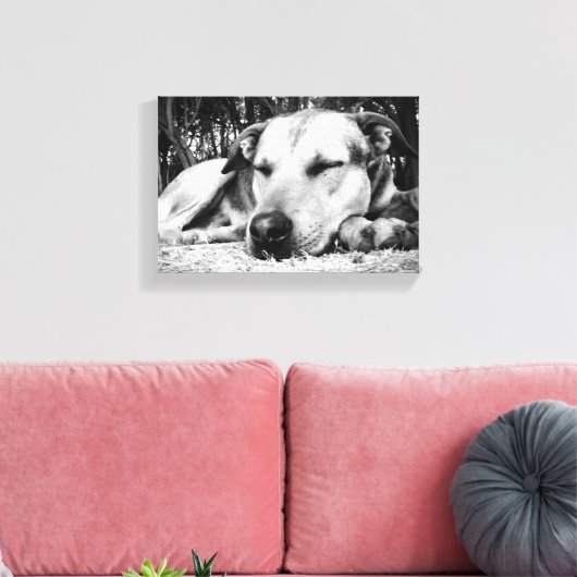 Slapende hond canvas afdruk (Insitu (Woonkamer))