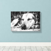 Slapende hond canvas afdruk (Insitu (Houten vloer))