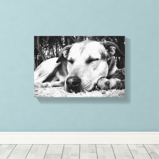 Slapende hond canvas afdruk (Insitu (Houten vloer))