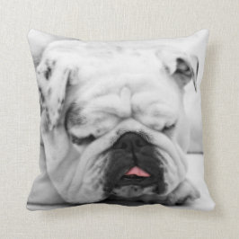 Slapende hond kussen