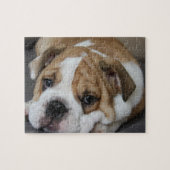 Slapende hond Puzzle Legpuzzel (Horizontaal)