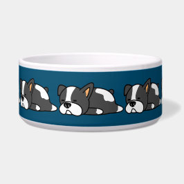 Slapende hond voerbakje