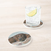 Slapende Ierse zetter Zandsteen Onderzetter (Zijkant)