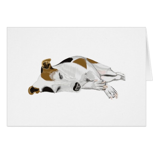 Slapende Jack Russell (Voorkant Horizontaal)