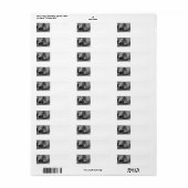 Slapende kat adresetiketten etiket (Full Sheet)