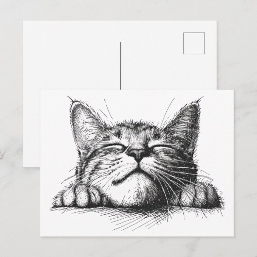 Slapende kat briefkaart (Voorkant / Achterkant)