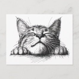 Slapende kat briefkaart
