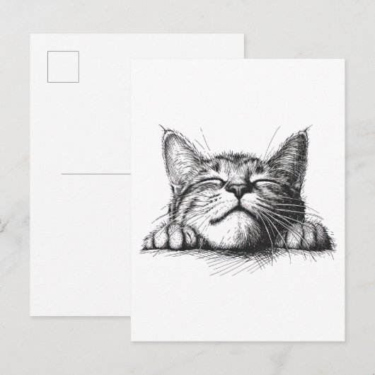 Slapende kat briefkaart (Voorkant / Achterkant)