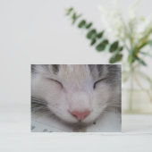 Slapende Kat Briefkaart (Staand voorkant)