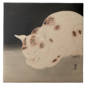 Slapende kat door Kawanabe Kyosai Tegeltje (Voorkant)