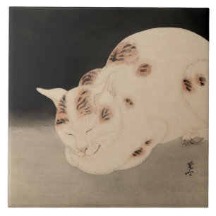 Slapende kat door Kawanabe Kyosai Tegeltje