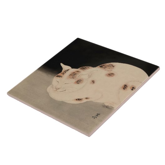 Slapende kat door Kawanabe Kyosai Tegeltje (Zijkant)